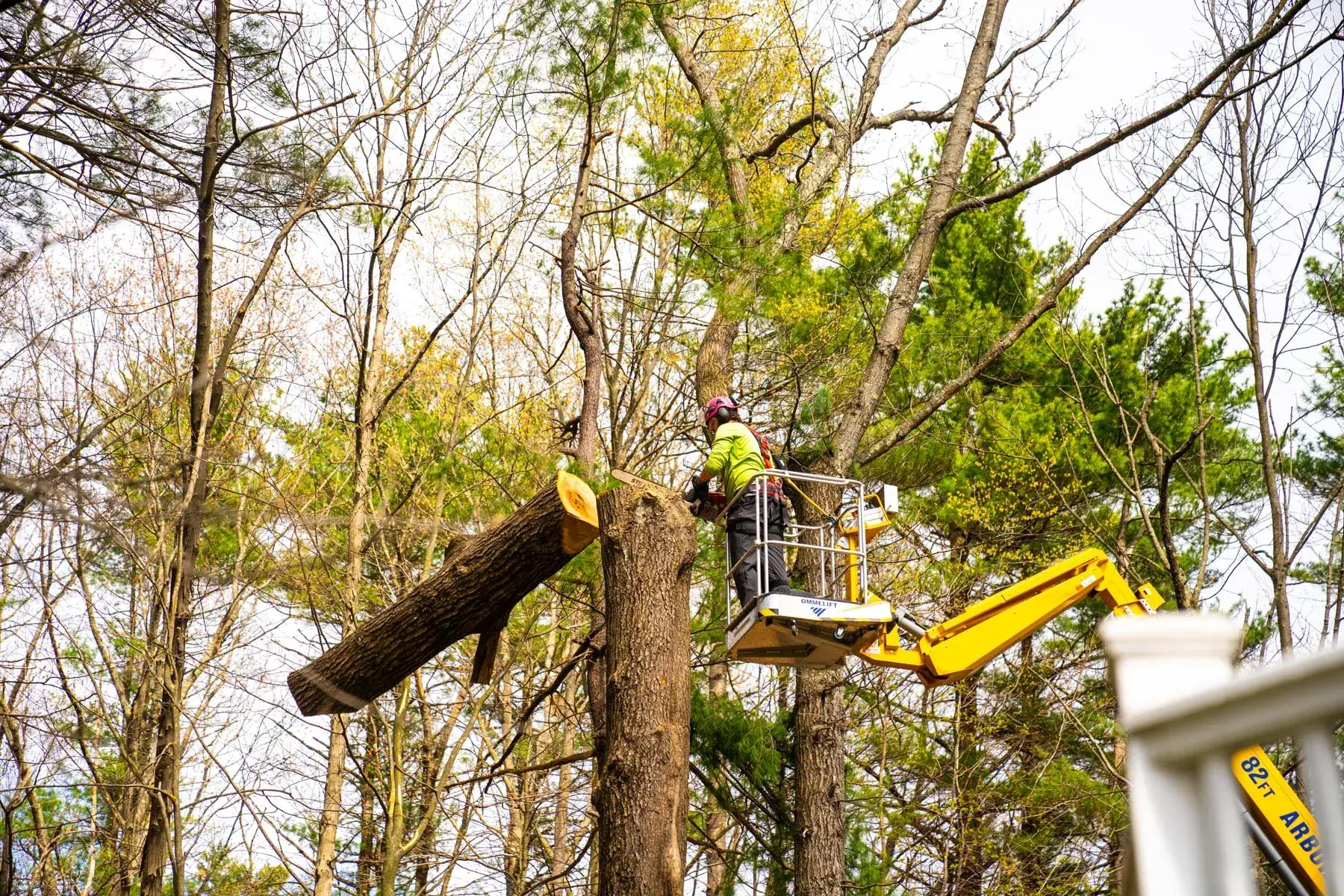 JTS, Inc. tree removal crew lifting a chainsaw during a job