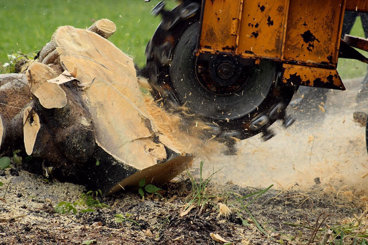 A tree stump is being removed by a tractor.
